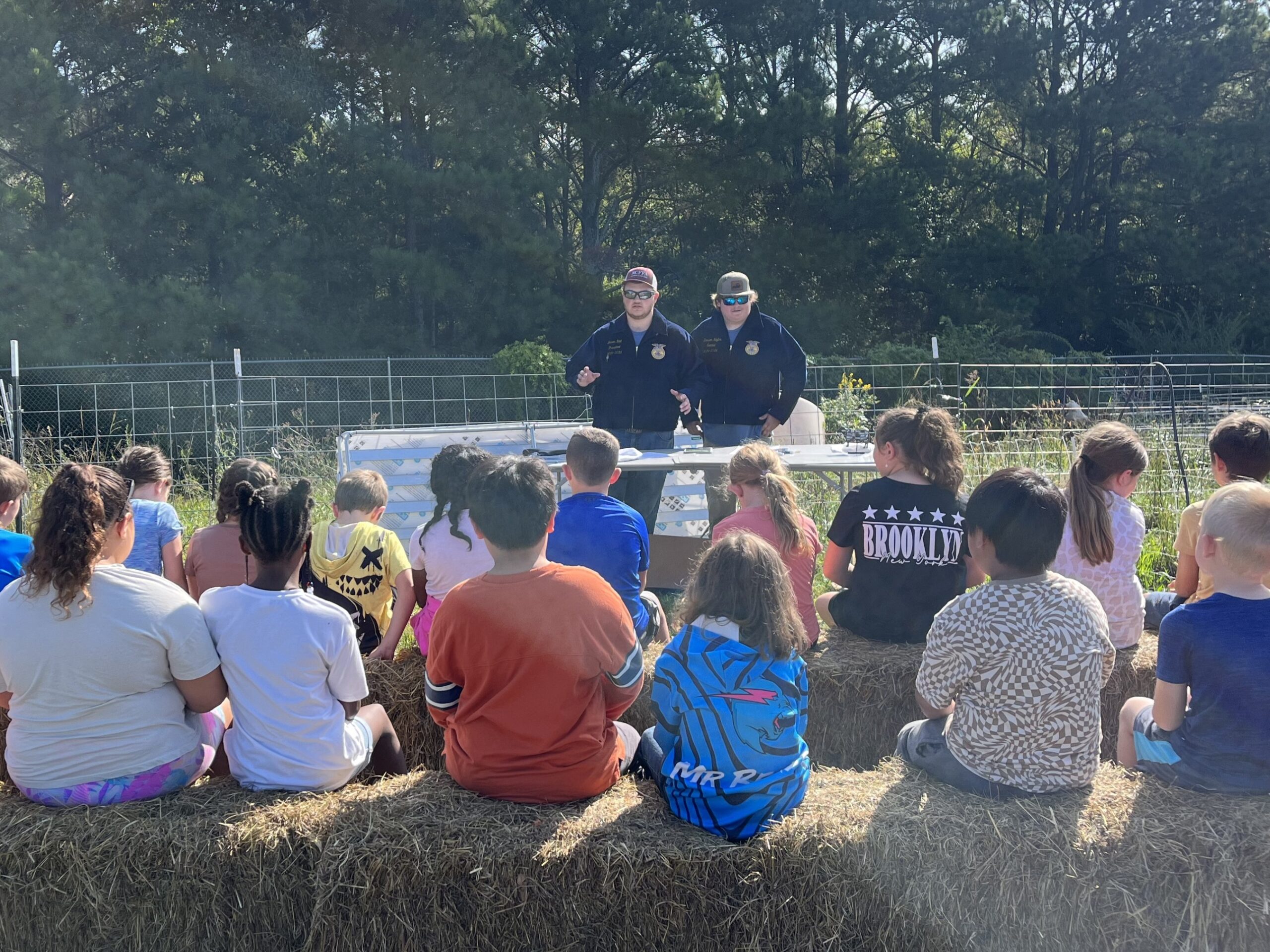 Divi Charity Poverty Alleviation